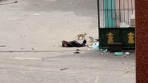 شاهد.. قناص إسرائيلي يقتل طفلا أمام مجمع ناصر الطبي بخان يونس