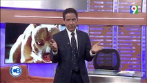 Carlos Batista llama la atención a dueños de perros Pit Bull | Con los famosos
