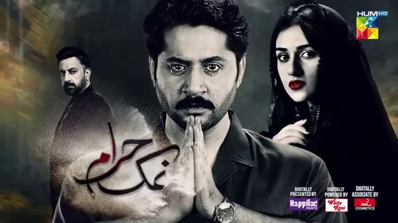 Namak Haram Episode 14