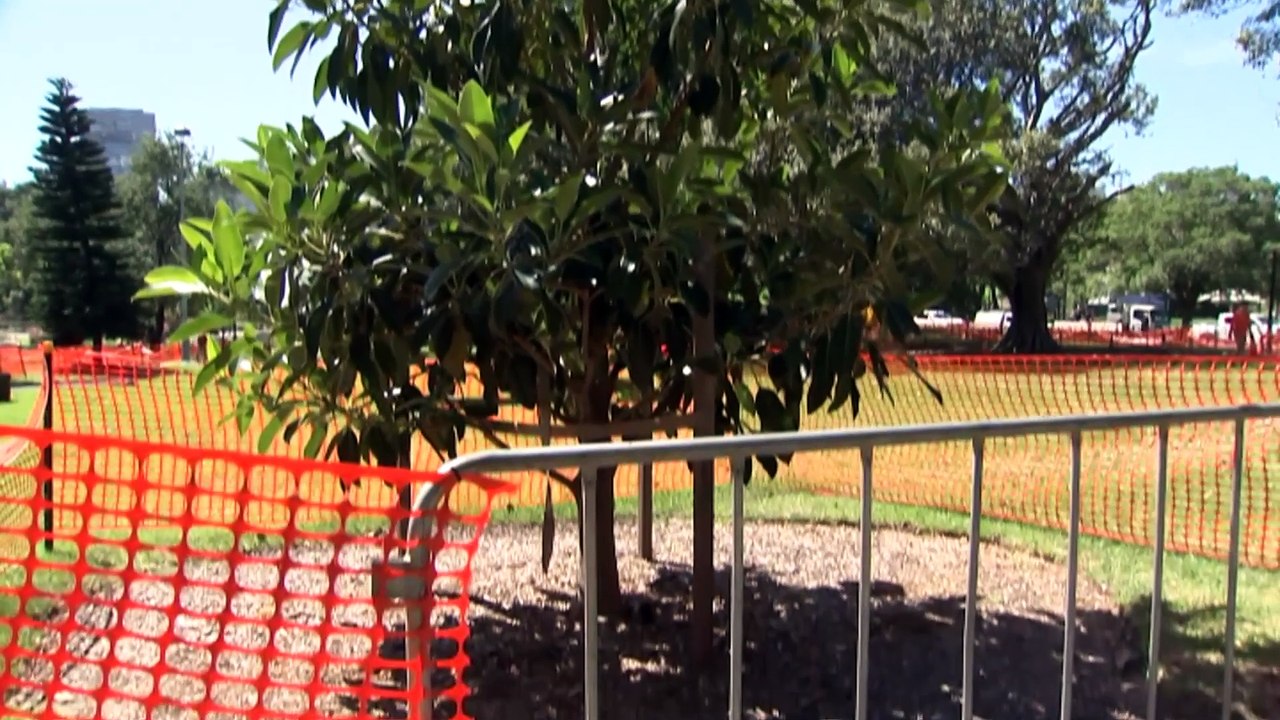 Friable asbestos found in a inner Sydney park