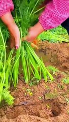 Jumma k din ka khas wazifa