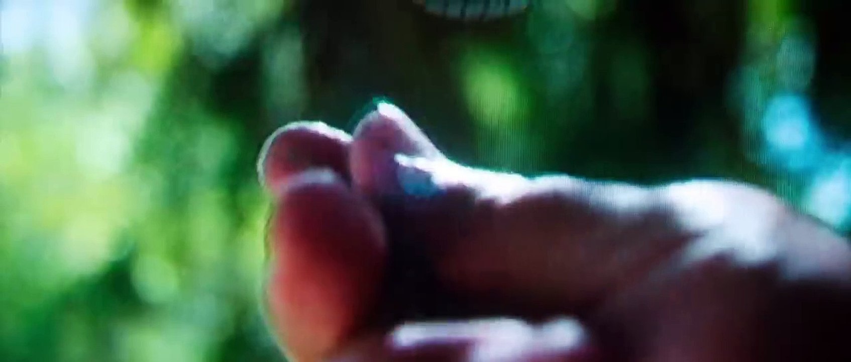 Nine Days Bande-annonce (EN)
