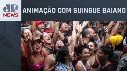 CarnaPan: Bloco Bahianiedade levou muito axé para Bela Vista