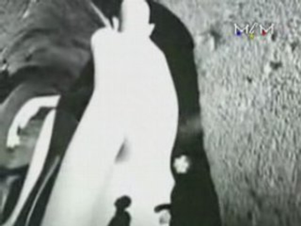 BRIGITTE FONTAINE - Genre Humain