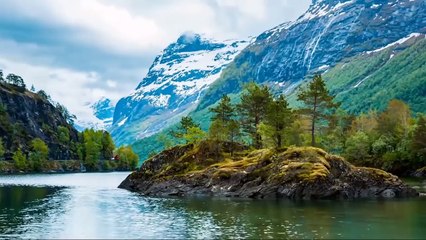 Como seria a vida sem o estado | Crônica Libertária - 09/12/19 | ANCAPSU