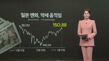 달러/엔 환율 150엔 돌파...日 통화정책 전망도 [앵커리포트] / YTN