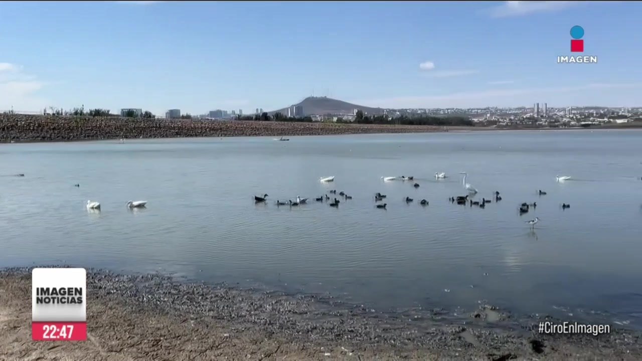 Presa de El Palote en León, Guanajuato, está a punto de secarse