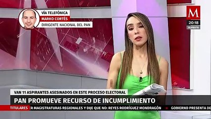El PAN promueve recursos de incumplimiento de sentencias en contra con el INE