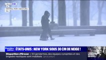 Vols annulés, écoles fermées... New York et le nord-est des États-Unis paralysés sous 30 cm de neige