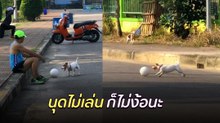 เมื่อนุดไม่ยอมเล่นด้วย น้องหมาเลยไม่ง้อ เล่นสนุกตัวเดียวก็ได้