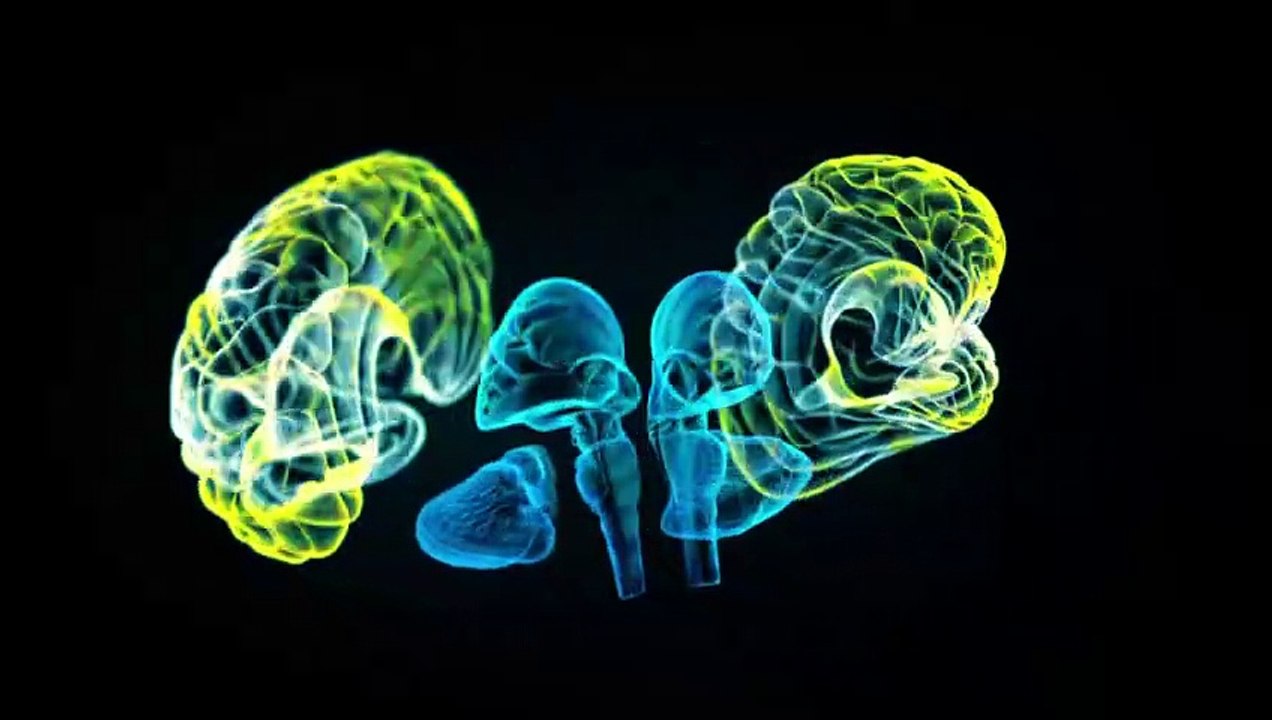 Videografik: Liebesrausch – ein biochemischer Cocktail