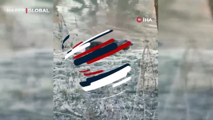 Yer Sivas: Biri bile görülemezken bu sefer üçü bir arada görüntülendi!