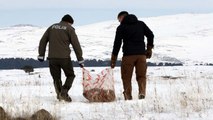 Yaban hayvanları için karla kaplı doğaya yem bırakıldı