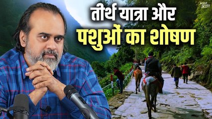 तीर्थ यात्रा और पशुओं का शोषण || आचार्य प्रशांत, केदारनाथ यात्रा पर (2019)