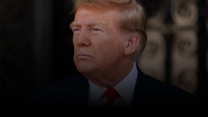 Donald Trump demande à la Cour suprême de suspendre le rejet de son immunité pénale