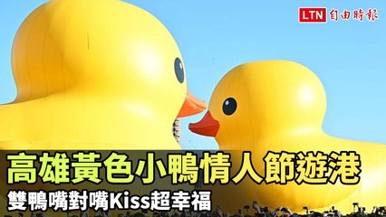 高雄黃色小鴨情人節遊港 雙鴨嘴對嘴Kiss超幸福（翻攝自高雄旅遊網FB）