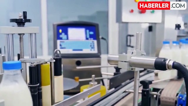 İnek sütü üretimi 2023 yılında artarken, kümes hayvancılığı üretimi azaldı