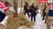 Ardahan'da Kar Altında Kalan Yaban Hayvanlarına Yem Bırakıldı