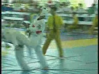 Taekwondo - Coups de pied de base