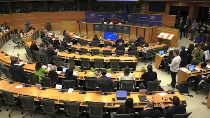 Els eurodiputats del PP pressionen els membres de la comissió