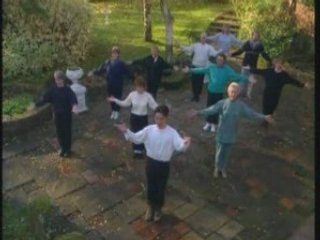Tai Chi Applications Martiales