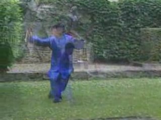 Tai Chi Forme 23 - Volume 1