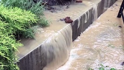 Interwencja na ul. Gliwy w Rzeszowie