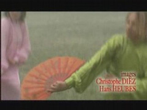 Taiji a l'eventail : taiji shan du style Yang