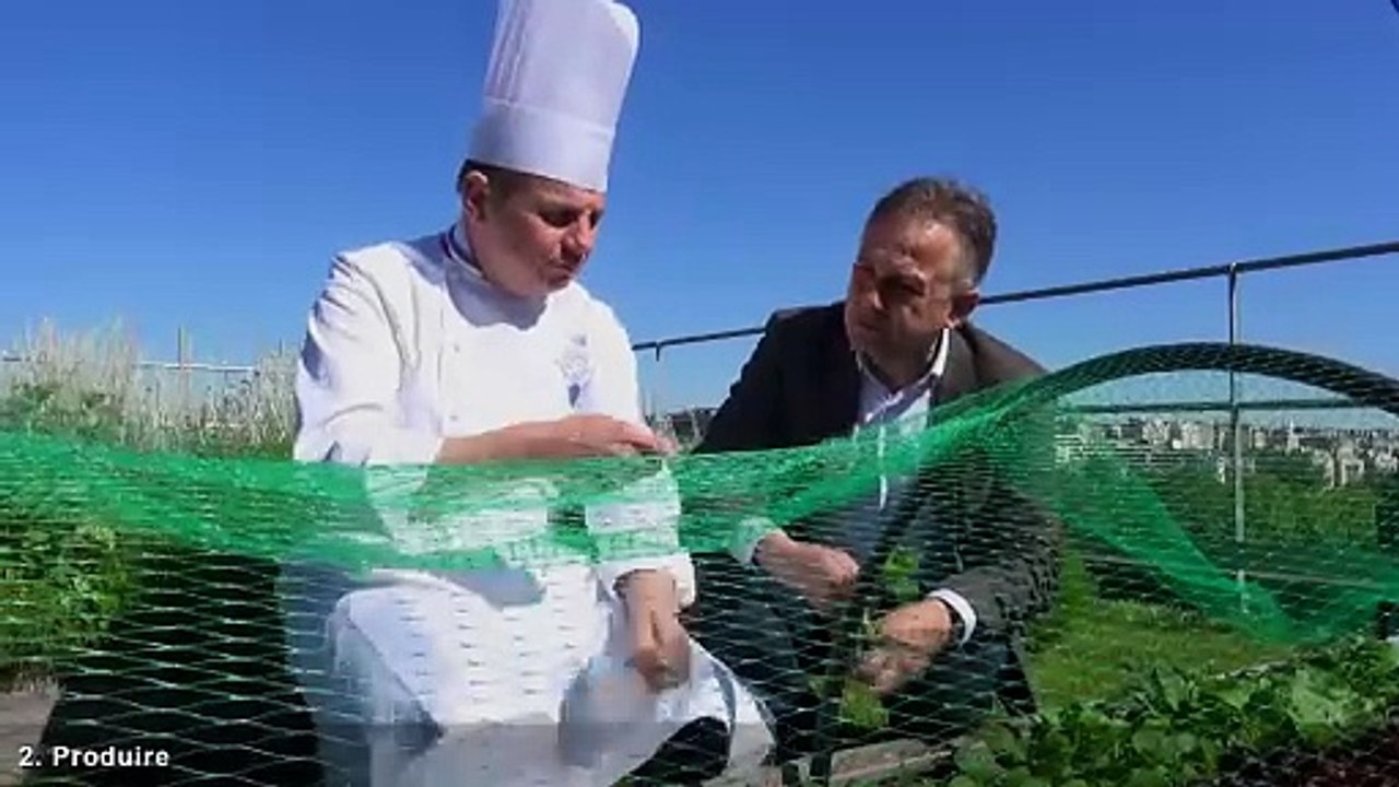 LE POTAGER DES GRANDS CHEFS