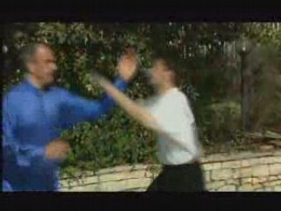 Taiji Quan vol.1 : Les 12 techniques energetiques anciennes de combat de l?ecole Yang