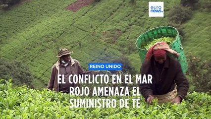 Angustia entre los británicos por la escasez de té debido al conflicto en el mar Rojo