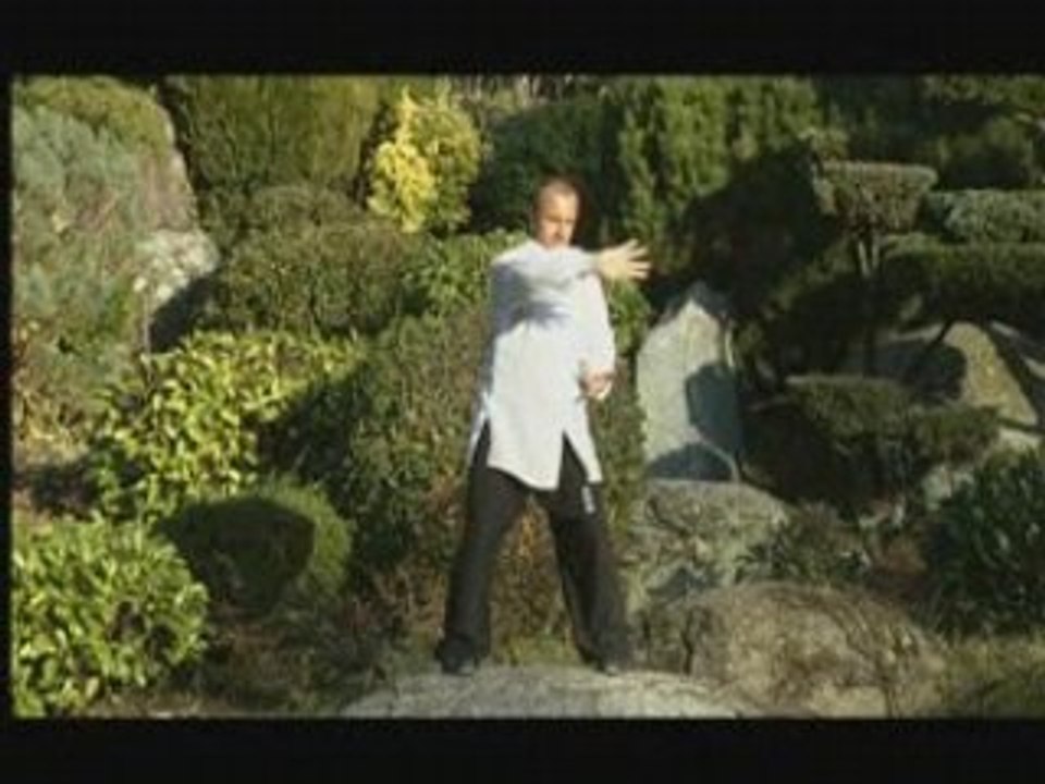 "Taiji-Quan : 3eme partie, ""le ciel"" et ses applications martiales"