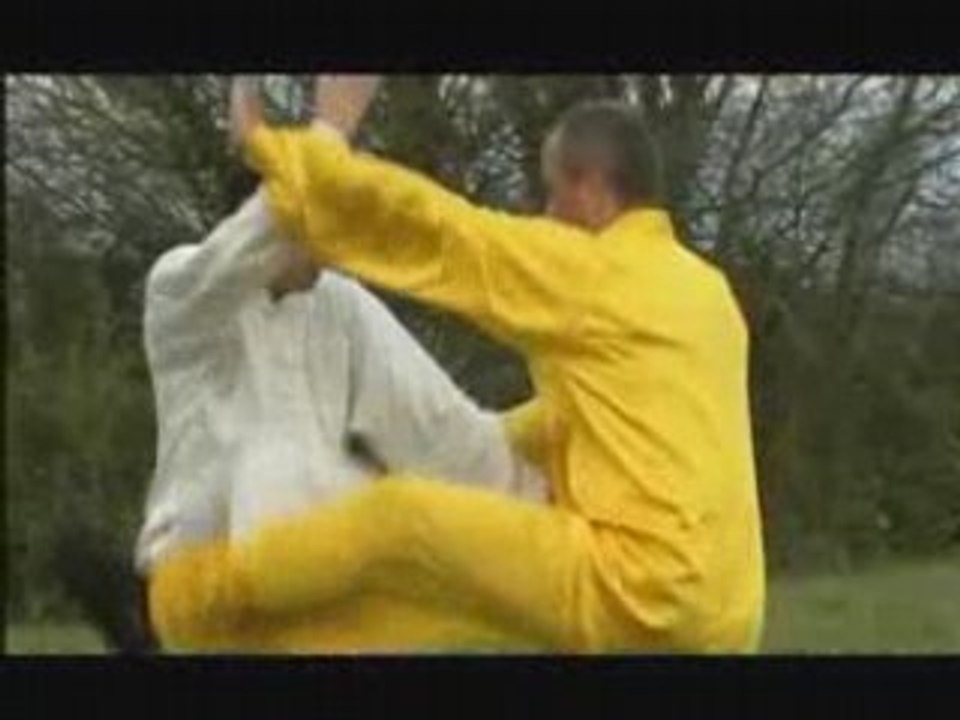 Taiji-Quan : Le grand San Shou du style Yang