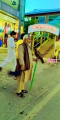 #shortsyoutube #nature #decent #travel #eagles #mallroad #murree