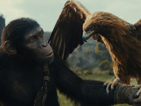 Kingdom of the Planet of the Apes (La Planète des Singes: Le Nouveau Royaume): Official Trailer HD VO st FR/NL