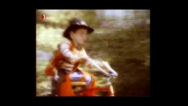 6947 Lügenpresse Steinmeier