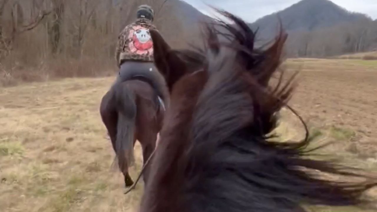 Saddle slip: Camera catches horse riding mishap