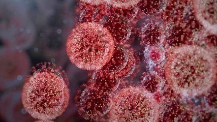 São Paulo Podría Tener Un Grave Aumento De Covid Tras El Carnaval