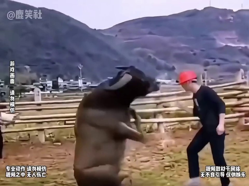 Random Perfect Timing Amazing Videos | Chinese videos