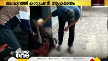 മലപ്പുറം നിലമ്പൂരിൽ  കാട്ട് പന്നി യുടെ   ആക്രമണത്തിൽ ഓട്ടോ ഡ്രൈവർക്ക് പരിക്ക്