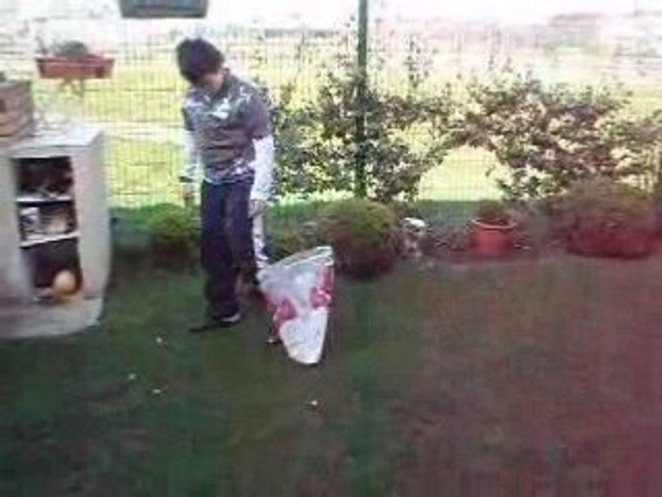 Paques 2008 - Nico part à la chasse aux œufs