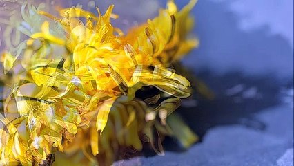 Sous le soleil exactement - Les Mots d'Mouchoir