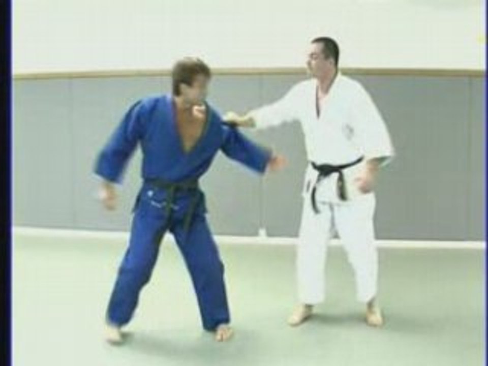 Techniques anti-agression : Ju-Jitsu Self-defense