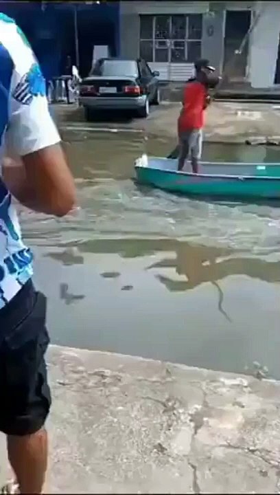 Ce conducteur déteste les bateaux