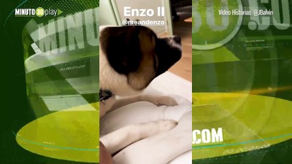 J Balvin Presenta a Enzo 2 hijo de Enzo