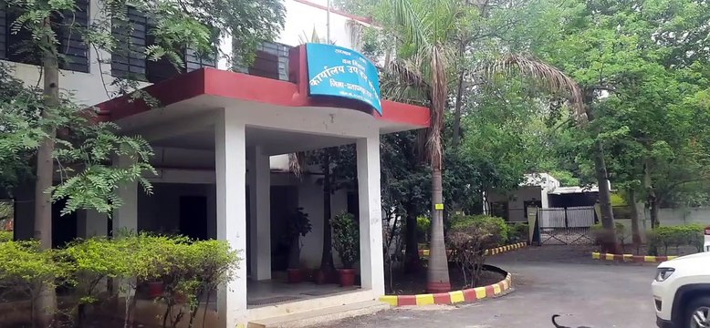 जंगल की सुरक्षा में लग रही सेंध: अंधेरी रात में जंगल में कई अवैध गतिविधियों को अंजाम दे रहे वन माफिया