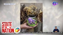 Terrarium na may flower arrangement, nagtatagal nang ilang taon | SONA