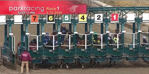 Hipismo: ¡Franklin González Jr. Gana su primera carrera del año!