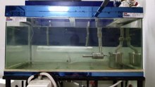 Micro-nano Bubbles