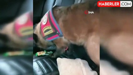 Jandarmadan uyuşturucu operasyonu: 2 kişi tutuklandı